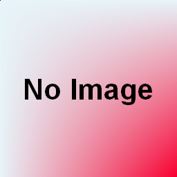 長期プラン（コンパクト）